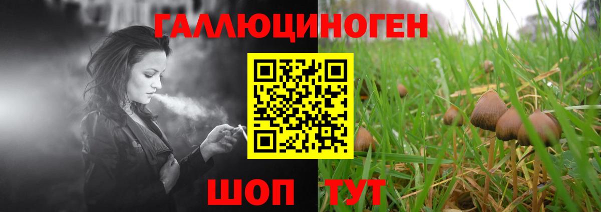 Псилоцибиновые грибы Cubensis Морозовск